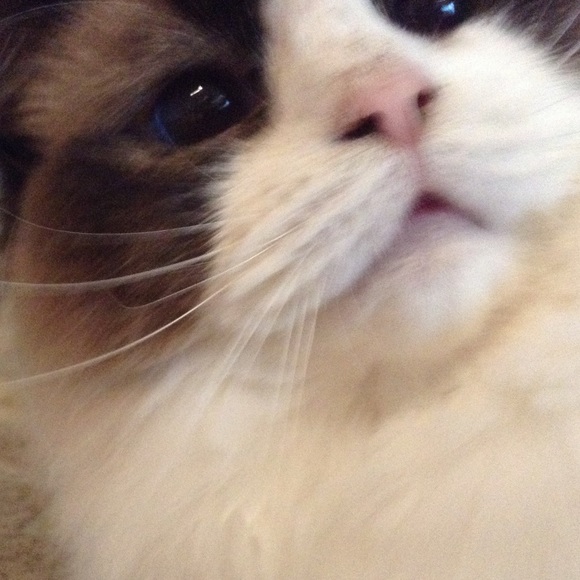 Meet your Posher, Aileen - Picture 1 of 1